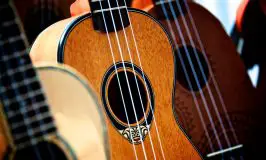 best ukulele brand for beginners