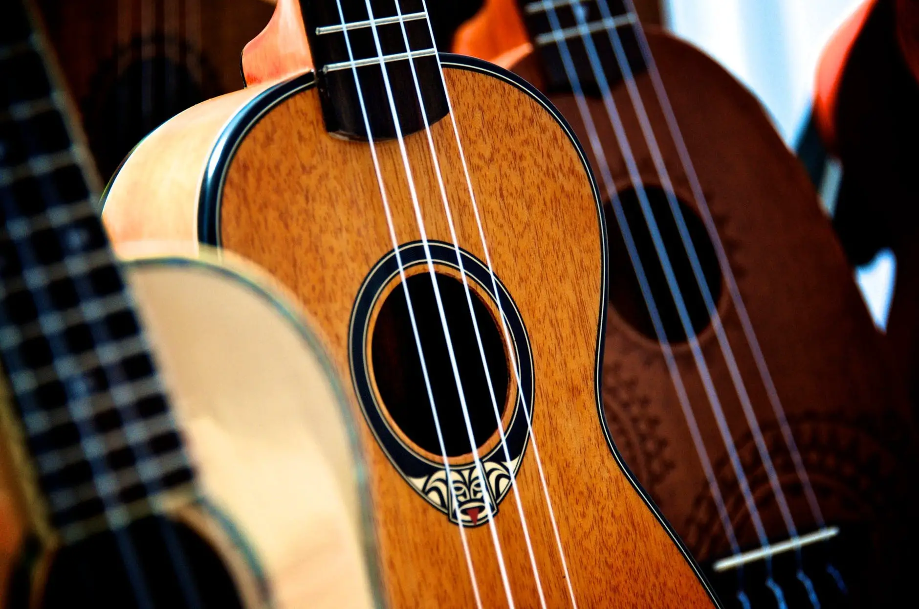 best ukulele brand for beginners