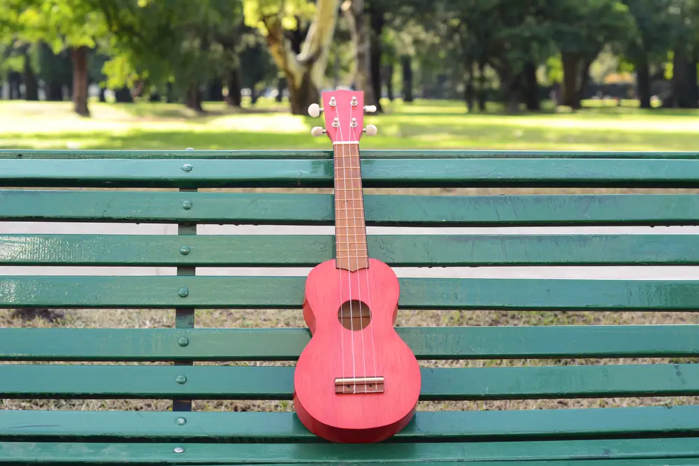 learn to play ukelele