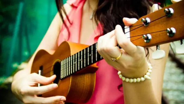 Best cheap concert ukulele for beginners
