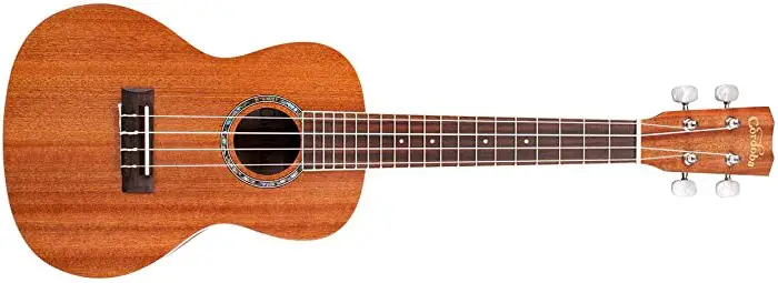 Choosing Soprano or Concert Ukulele for Beginner?