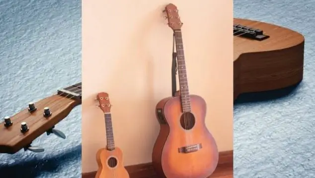 Difference between guitars and ukuleles