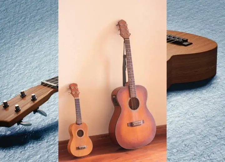 Difference between guitars and ukuleles