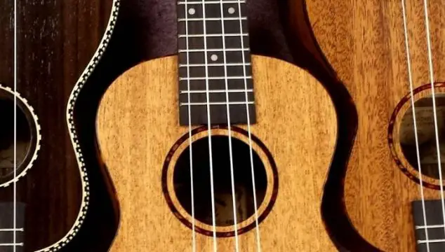Kala vs Luna ukulele: Which is the best choice