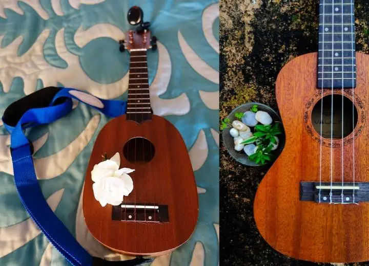 Pineapple Ukulele Vs Standard: Which One Should You Choose