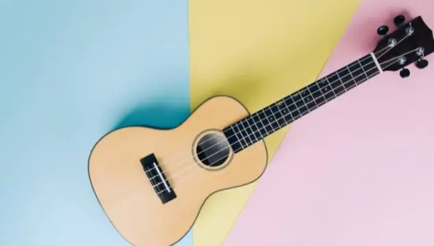 Plastic ukulele vs wood: Which one is better