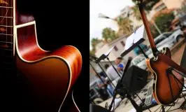 What's the Difference Between Thinline Acoustic Guitar vs Regular Guitar