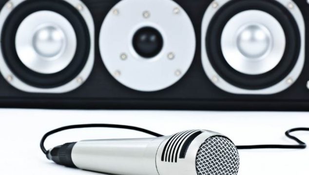2 Way vs 3 Way Speakers For Karaoke