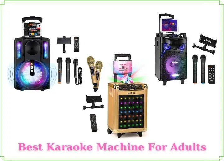 Best Karaoke Machine For Adults Family