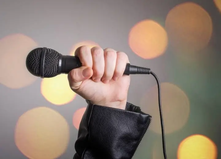 Why Is Dynamic Mic Better For Karaoke